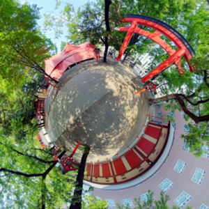 Thumbnail of post image 040